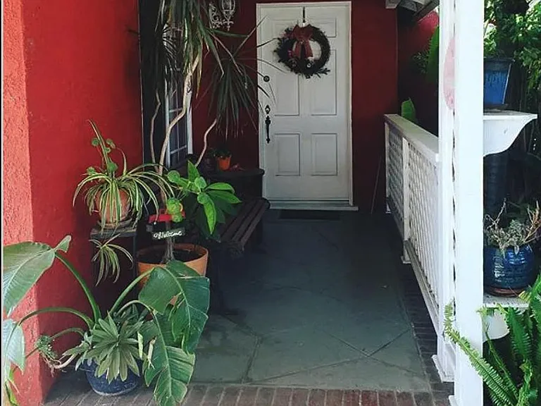 Daisy Ave — Photo 2
