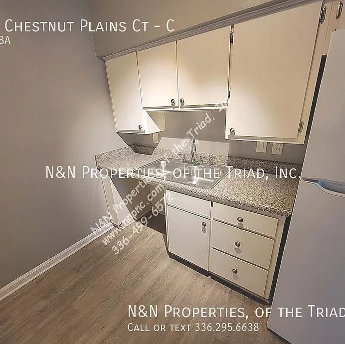 1395 Chestnut Plains Ct — Photo 1