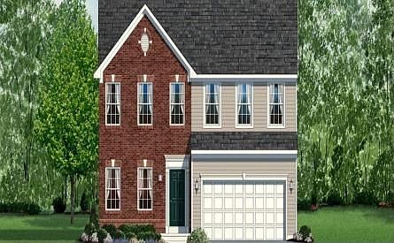 ElevationImage