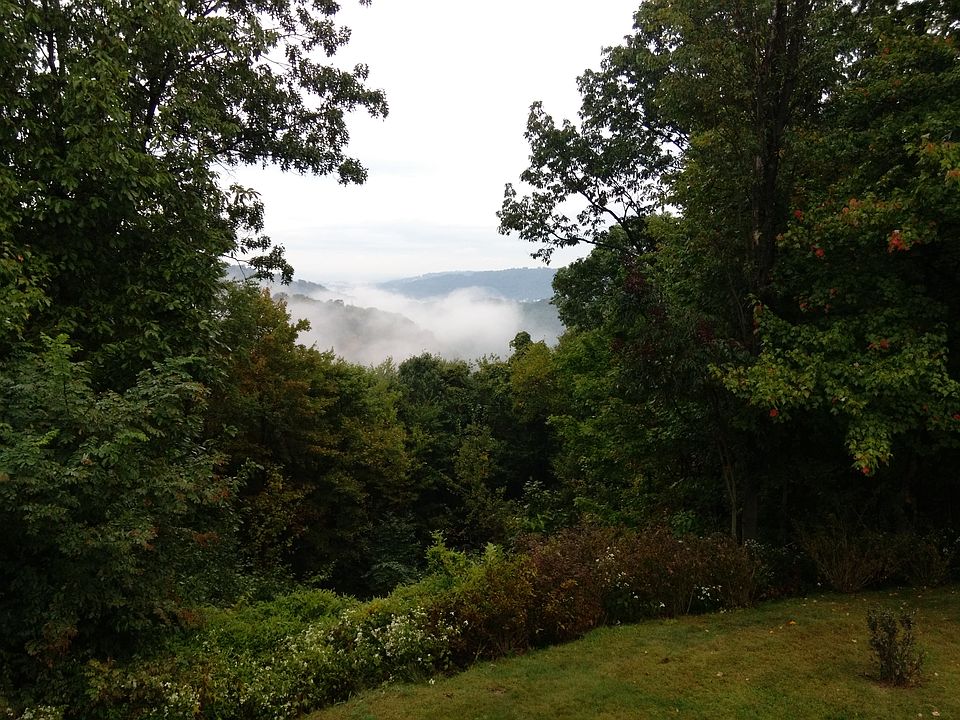 Morning Fog from Deck