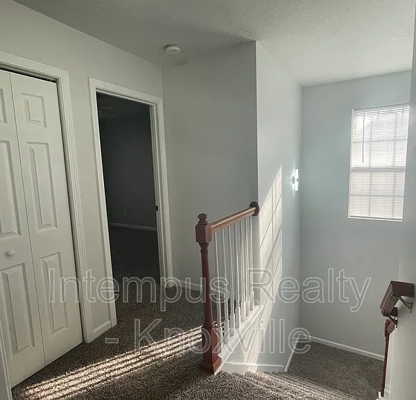 3119 Pinex Ln — Photo 20