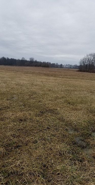 2nd image of 224 Us Rte