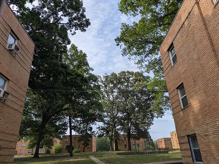 Meadow Green Courts — Photo 14