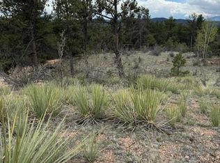 22 Columbine Rd, Florissant, CO 80816