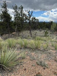22 Columbine Rd, Florissant, CO, 80816
