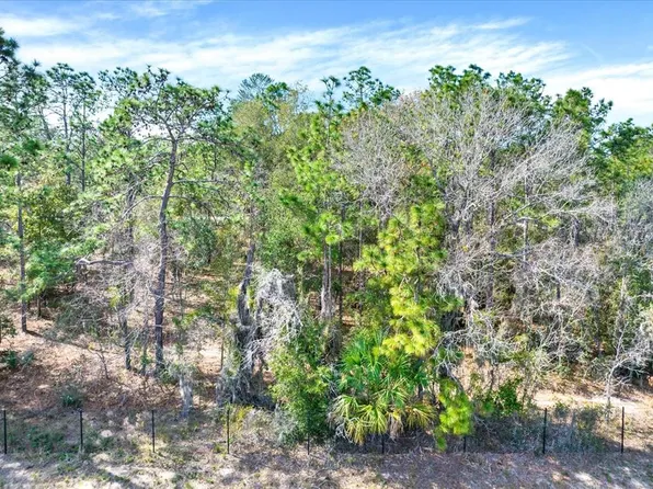 Honeycreeper Rd Lot 2, Brooksville, FL 34614