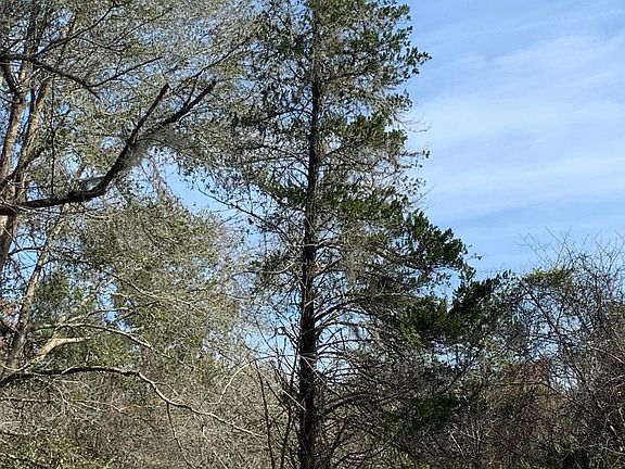 2nd image of 38350 Ilex Trl