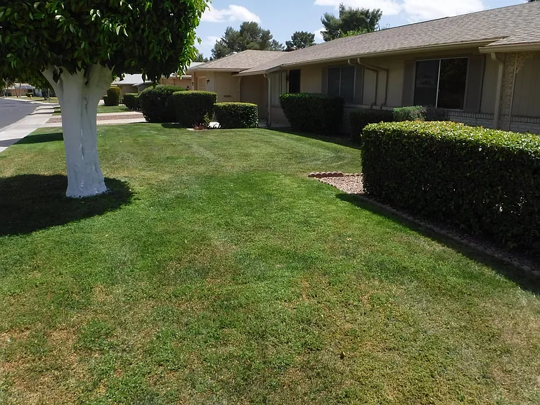 Front yard of condo There is grass in the winter and bushes and trees. Citrus trees in the backyard.
