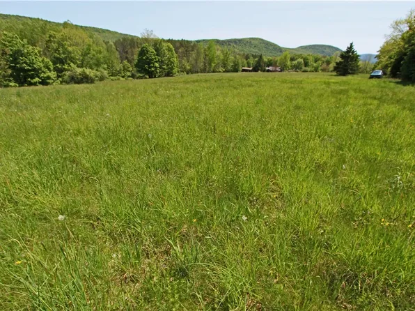 John Shultis Rd, Roxbury, NY 12474