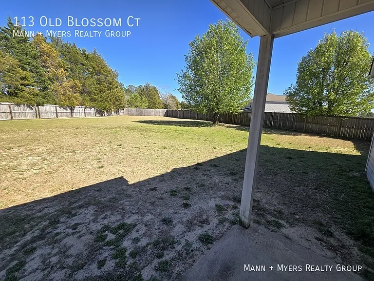 113 Old Blossom Ct — Photo 43