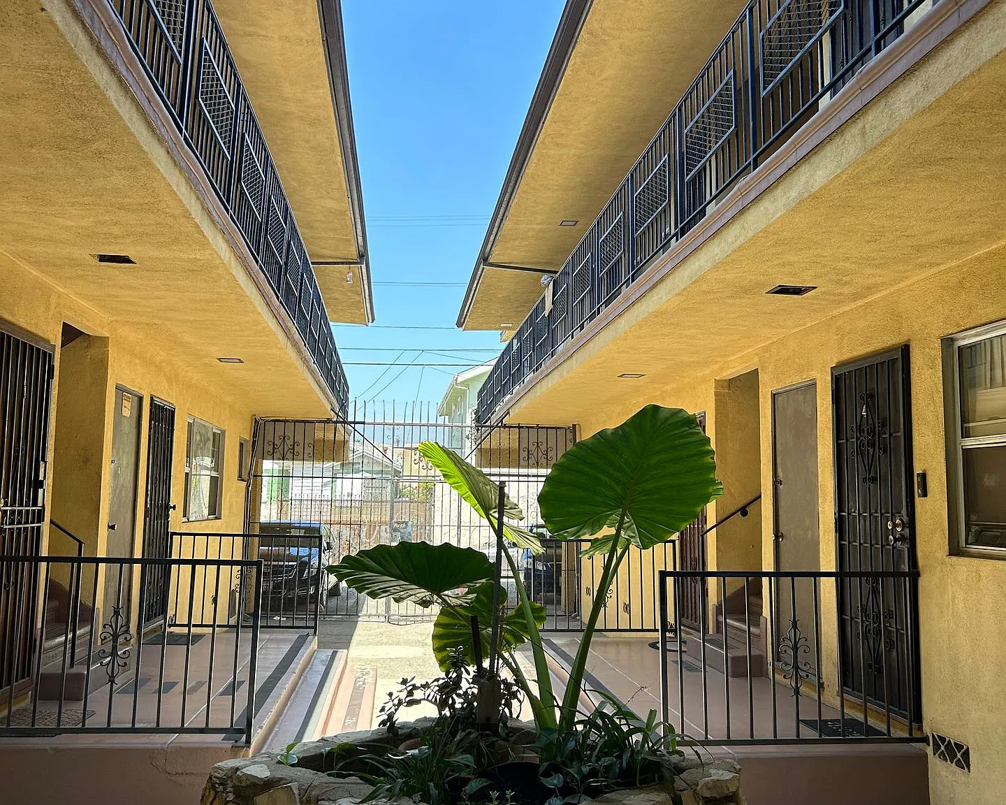 Rolland Curtis Pl — Photo 3