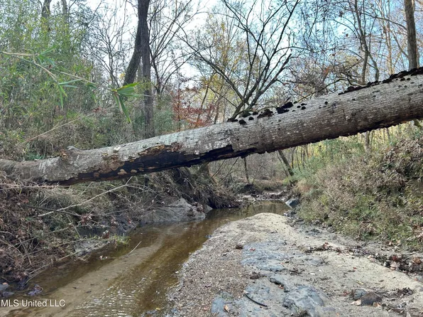 Henderson Rd, Bentonia, MS 39040