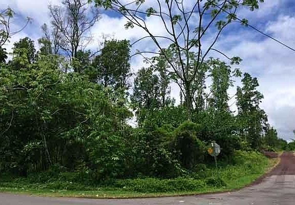 4th image of Kaloli Dr