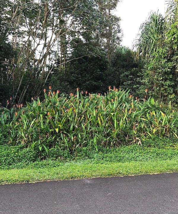 1st image of Manini St Lot 1154