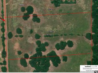 Vz County Road 4714 #7, Ben Wheeler, TX 75754