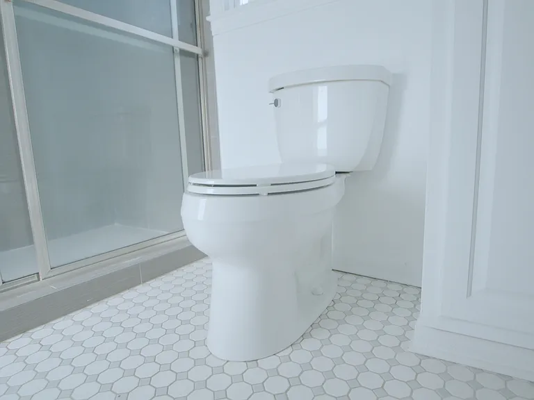 Master toilet