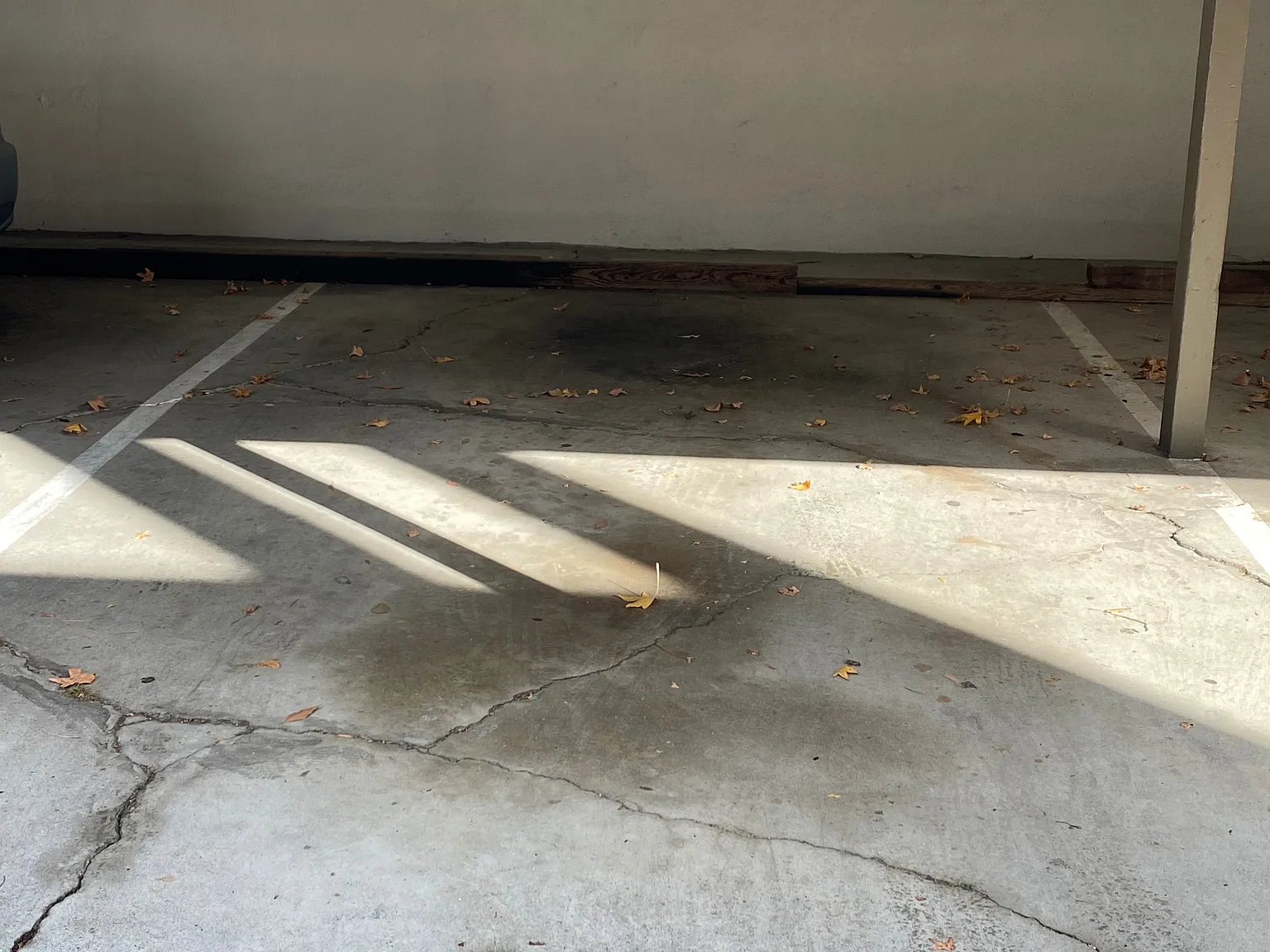 1 bed, $2,800 — Photo 4