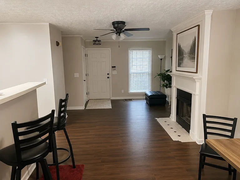 Living room and fireplace