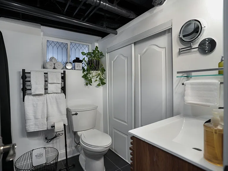 Lower level bathroom