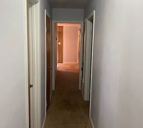 5th image of 102 Carriage Dr