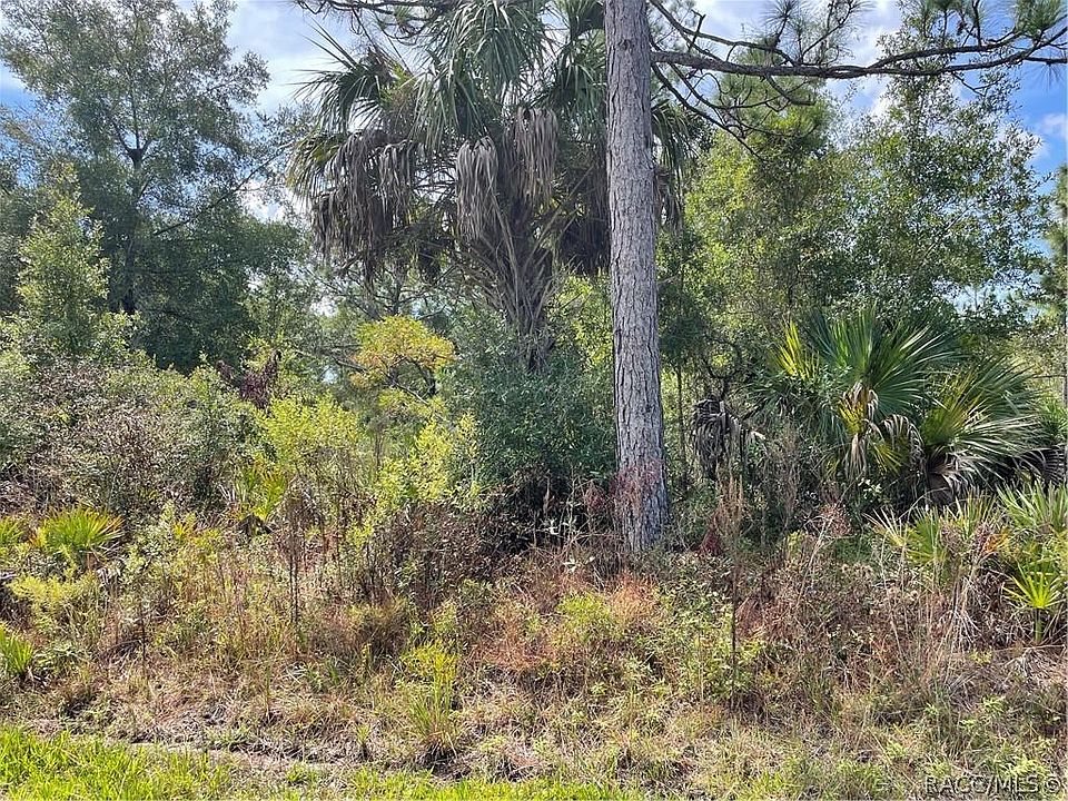 1st image of 11398 W Gilia Ln