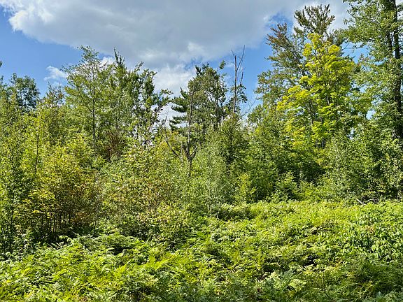 5th image of V/l 10ac W Townline Rd