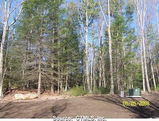 1st image of 00 Red Cedar