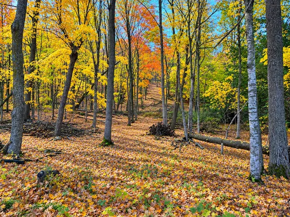 1 County Road 39 NE, Longville, MN 56655