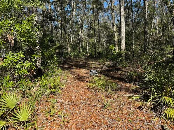 386 NE 368th Ave, Old Town, FL 32680