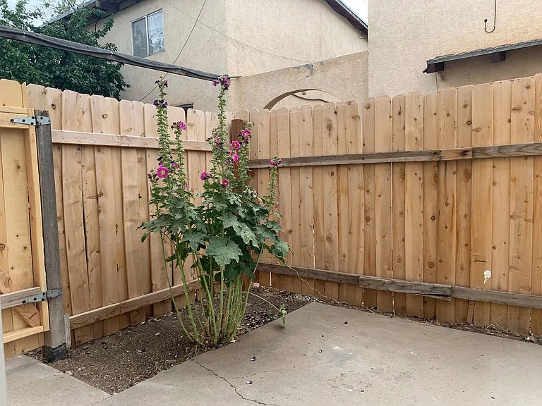 517 Vermont St NE — Photo 21