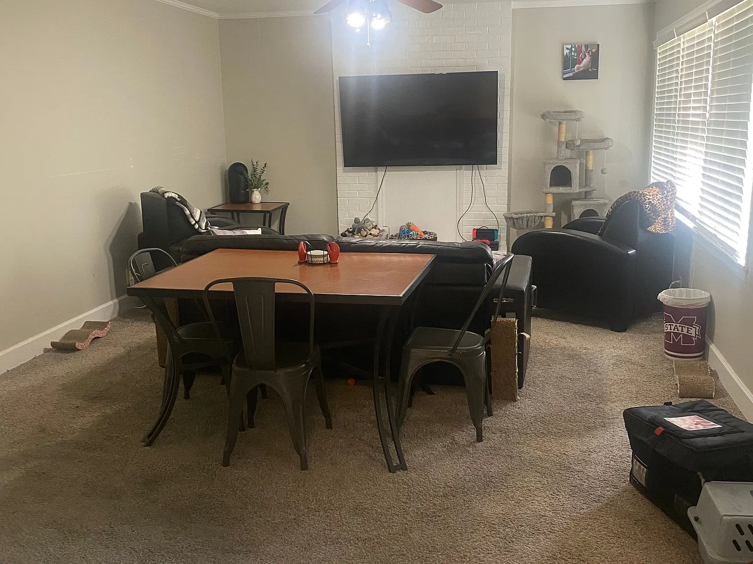 2 bed, 1195 sqft, $1,300 — Photo 4