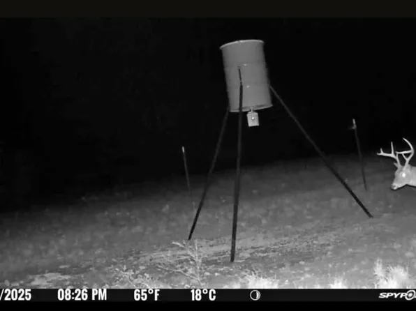Georgia Pass, Desdemona, TX 76445