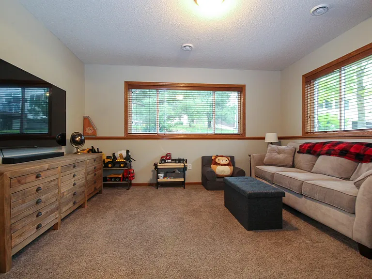 Downstairs Family Room
