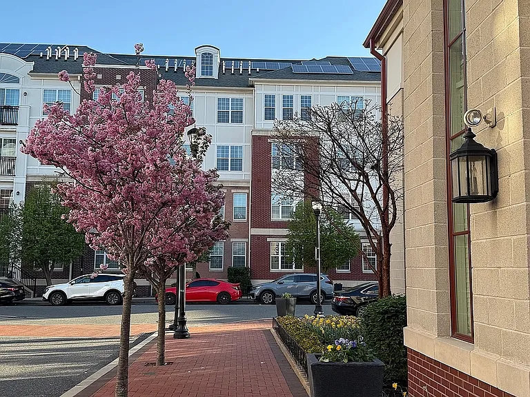 Harbor Pointe — Photo 119