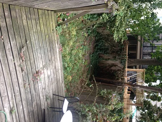 Rented by Elinor Taasa, LREB | media 10