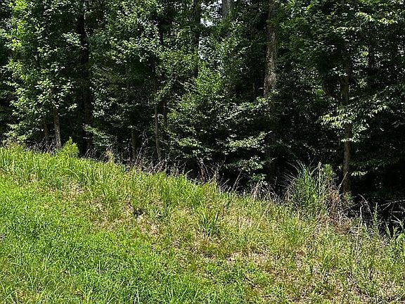 2nd image of LOT 133 Bishop Dr