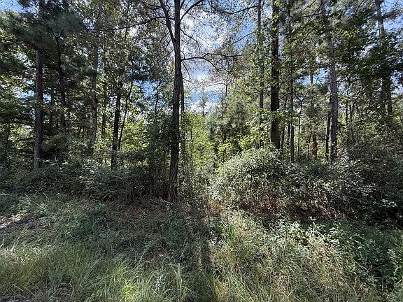 4th image of R32312 Sandy Creek Rd