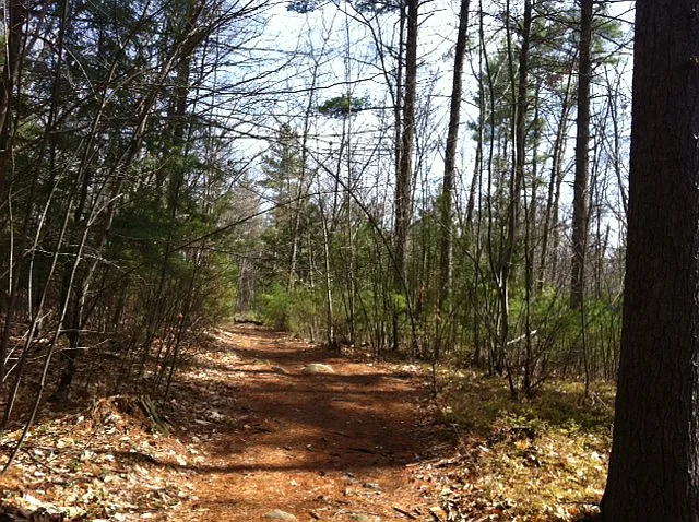 Hiking trails abut the property