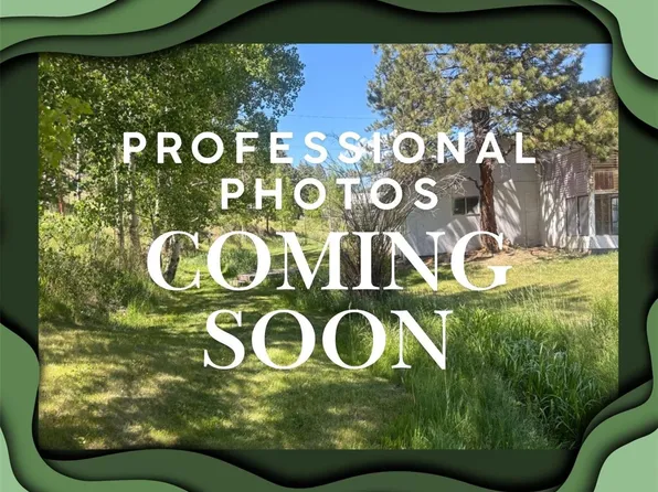 427 Brookside Drive, Bailey, CO 80421