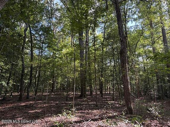 5th image of Smith County Rd #581