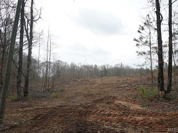 5th image of 1303 County Road 176