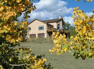 292 Cottonwood Lake Dr, Divide, CO 80814