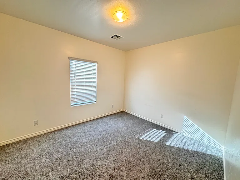 2711 Lindsey Springs St — Photo 25