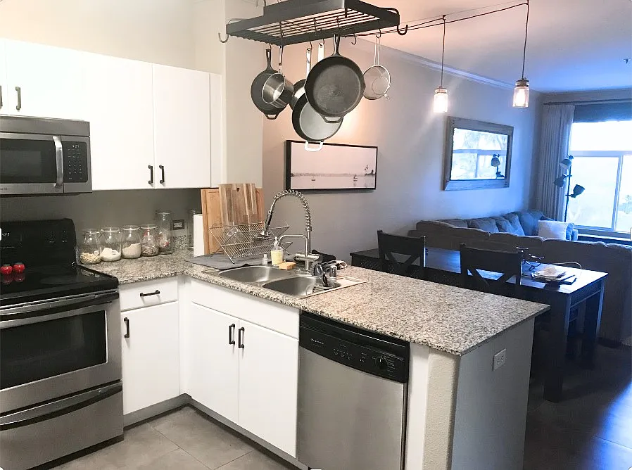 1 bed, 747 sqft, $2,695 — Photo 3
