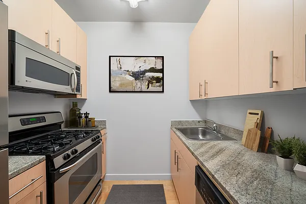L’Appartement AMERICANA N/S Fooded P/O 173 East 102nd #3F, New York, NY 10029 | 92419
