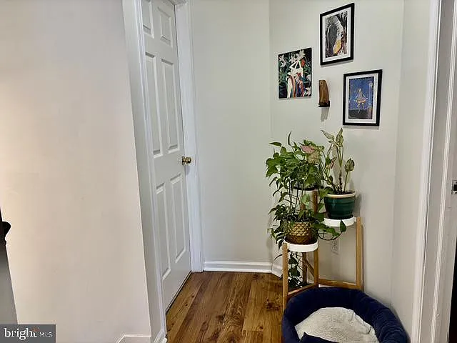 2620 Poplar St #2 — Photo 10