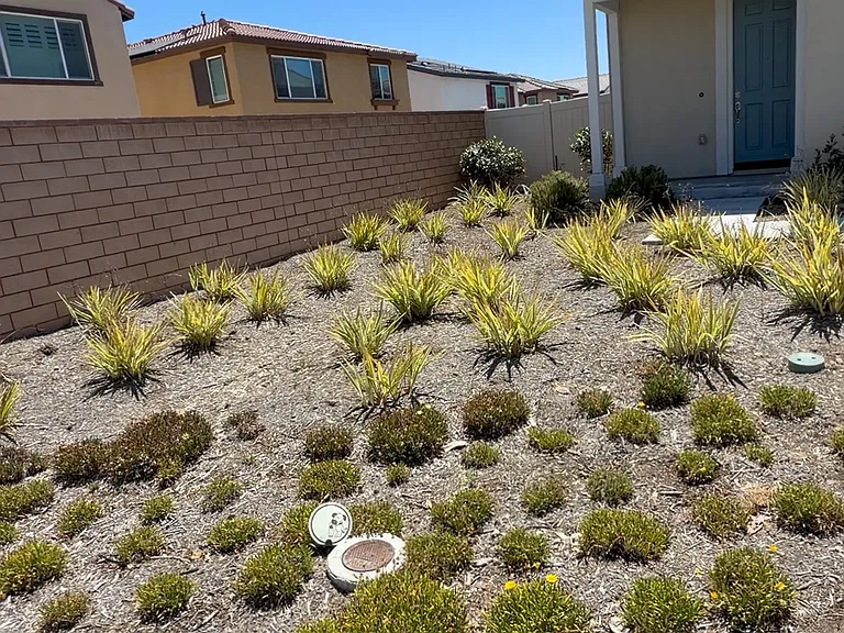 36594 Camino Springs Ave — Photo 99