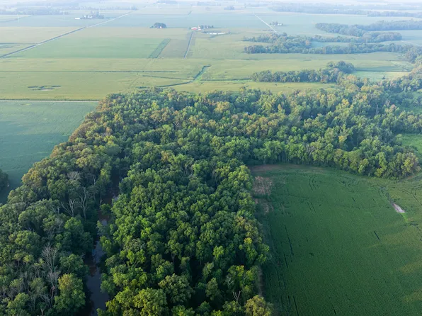 0 County Road 800 E, Mill Shoals, IL 62862