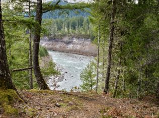 2 Lahar Ln, Cougar, WA