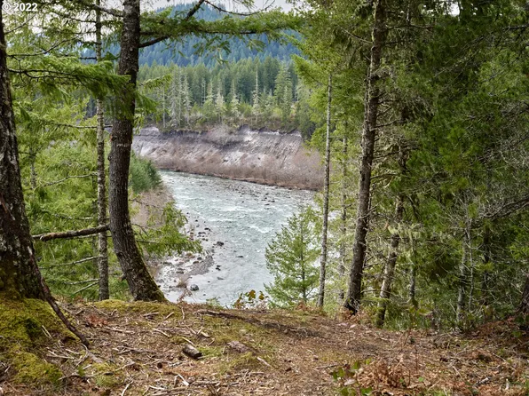 2 Lahar Ln, Cougar, WA 98616